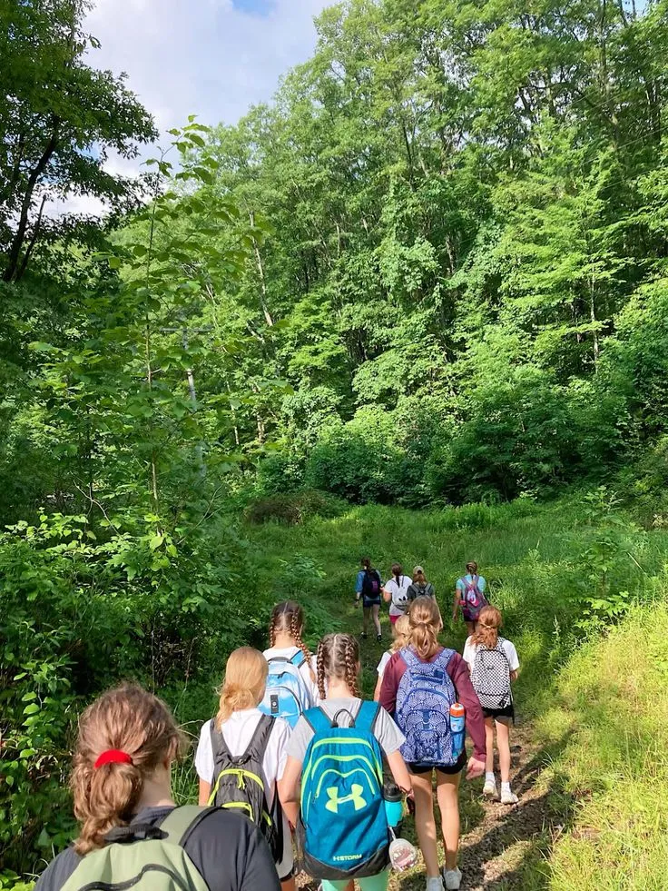 Scenic trail leading toward mountain horizon