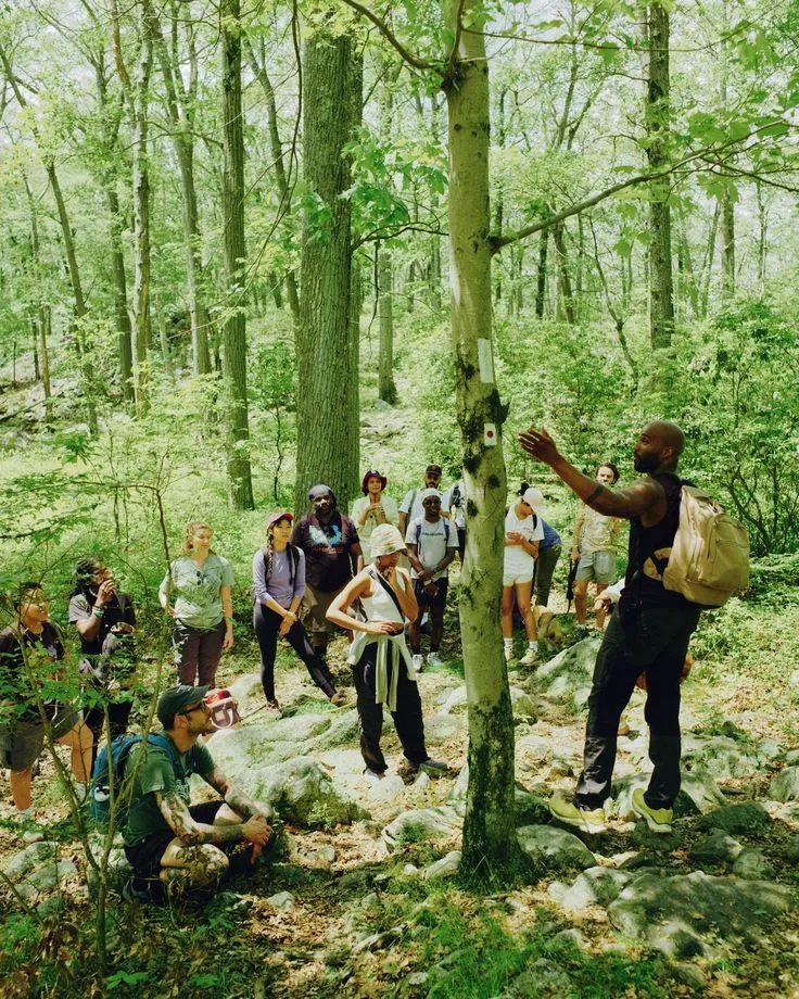 Welcoming trailhead meeting point in forest